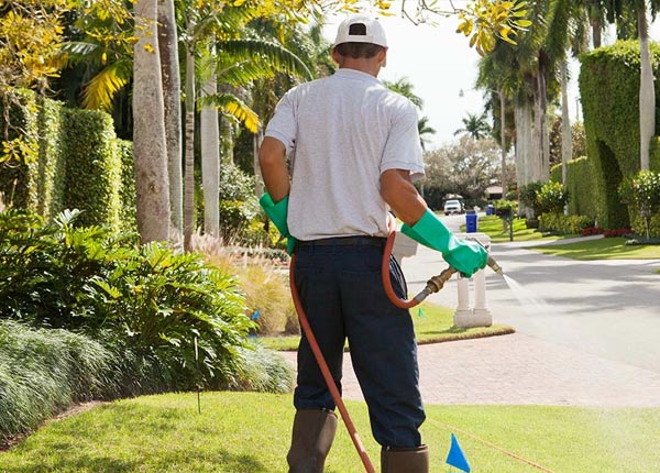 About Pentress WV Pest Control